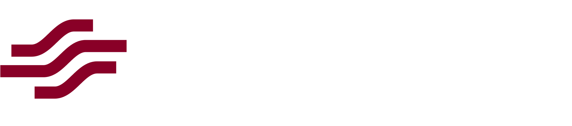 website logo